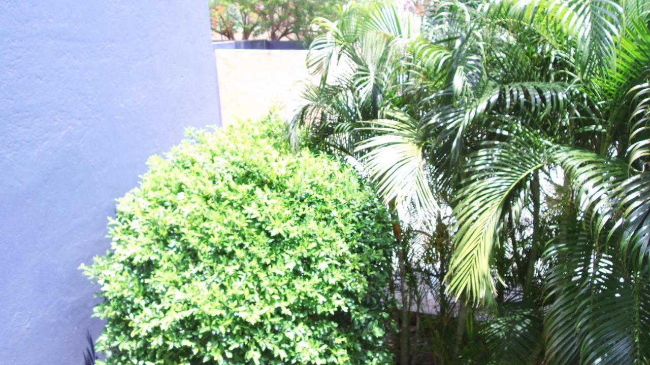 Hotel Calli Santo Domingo Tehuantepec المظهر الخارجي الصورة